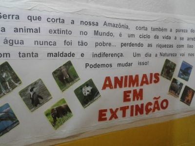 006 Feira Cultural 2018